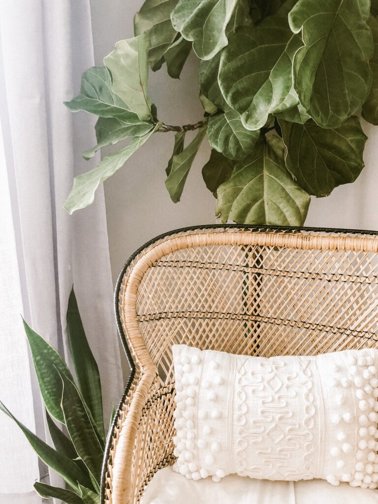 boho looking rattan chair with patterned white pillow and plants behind it