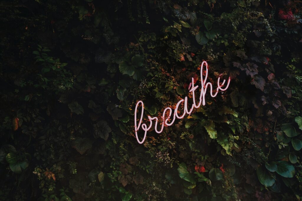 "breathe" neon pink sign hanging on a wall of natural greenery